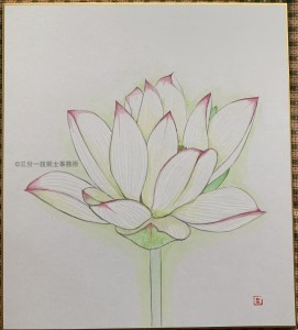 蓮花２