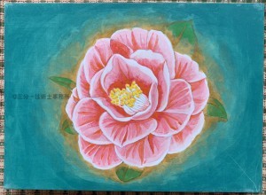 紅白椿２