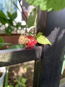 財務報告における階層的整頓データの取り扱い