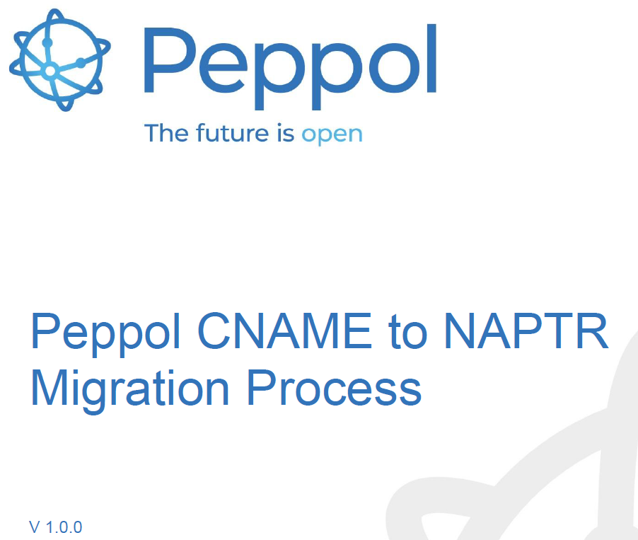 CNAMEtoNAPTR