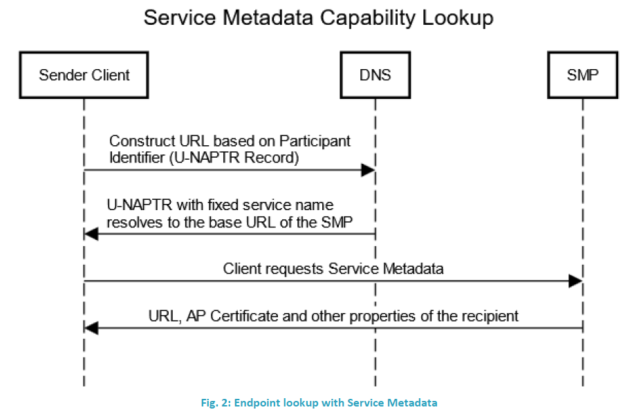 SMP DNS Lookup