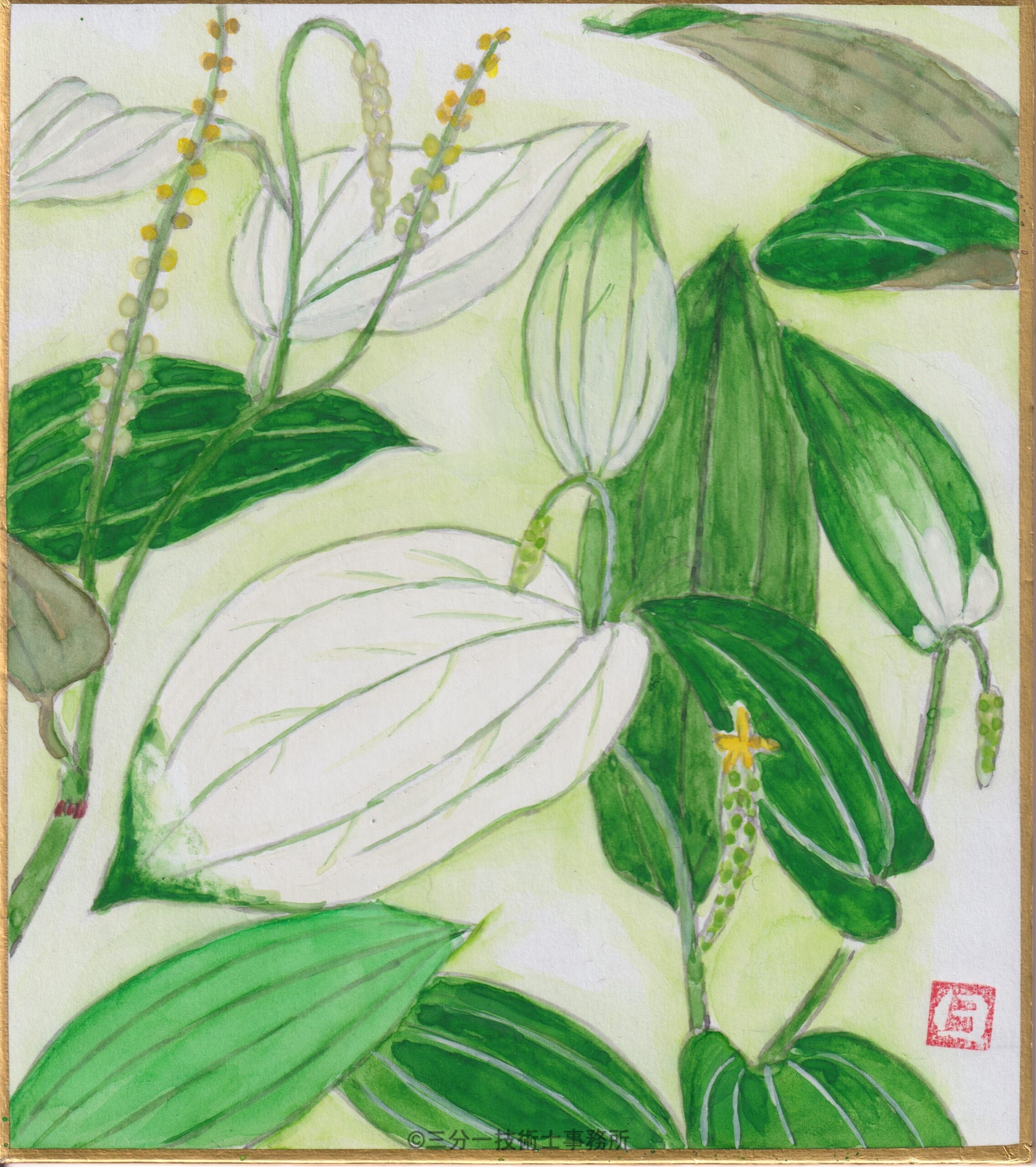新作