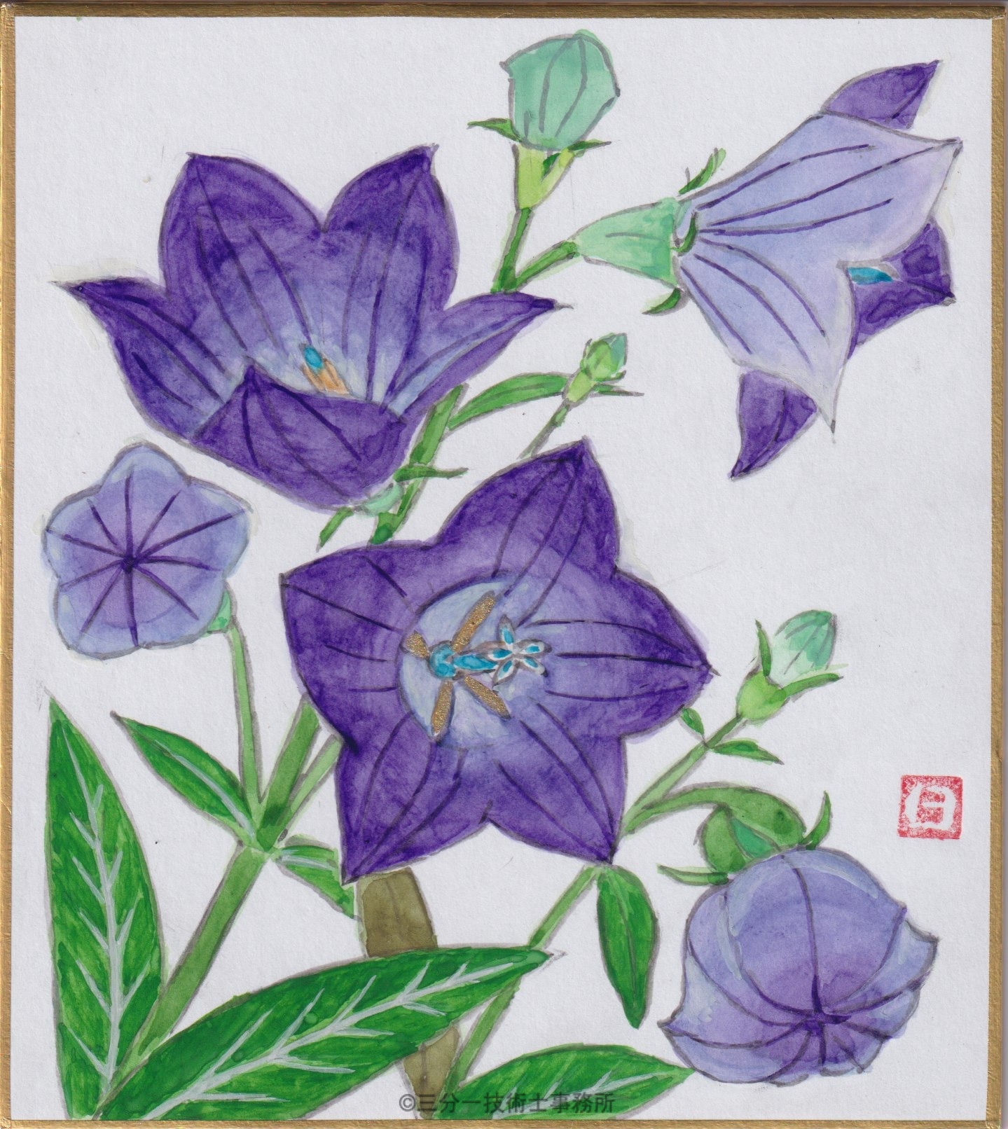 新作