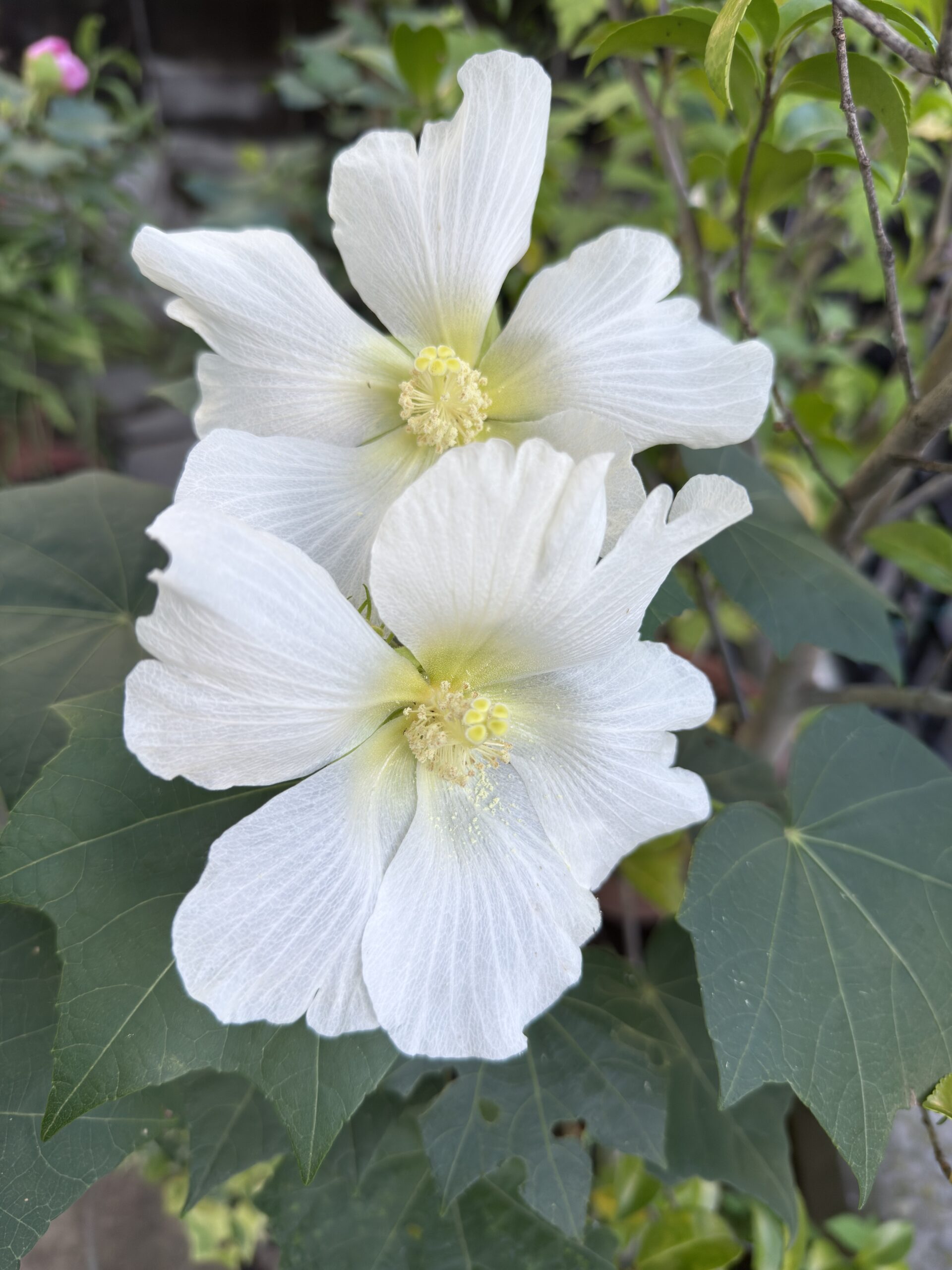 仕訳日記帳は「鑑」ではなくインボイス金額を基準に起票する――実務解説