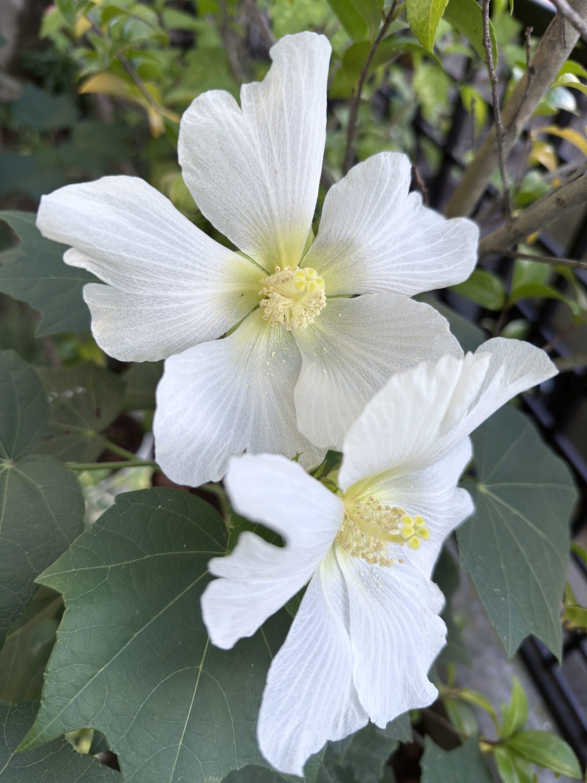 CI_TradeTax は UNCL 5153(Tax Type)と UNCL 5305(Tax Category)が必須――「給与の源泉=SWT」を含む多様な税の表現