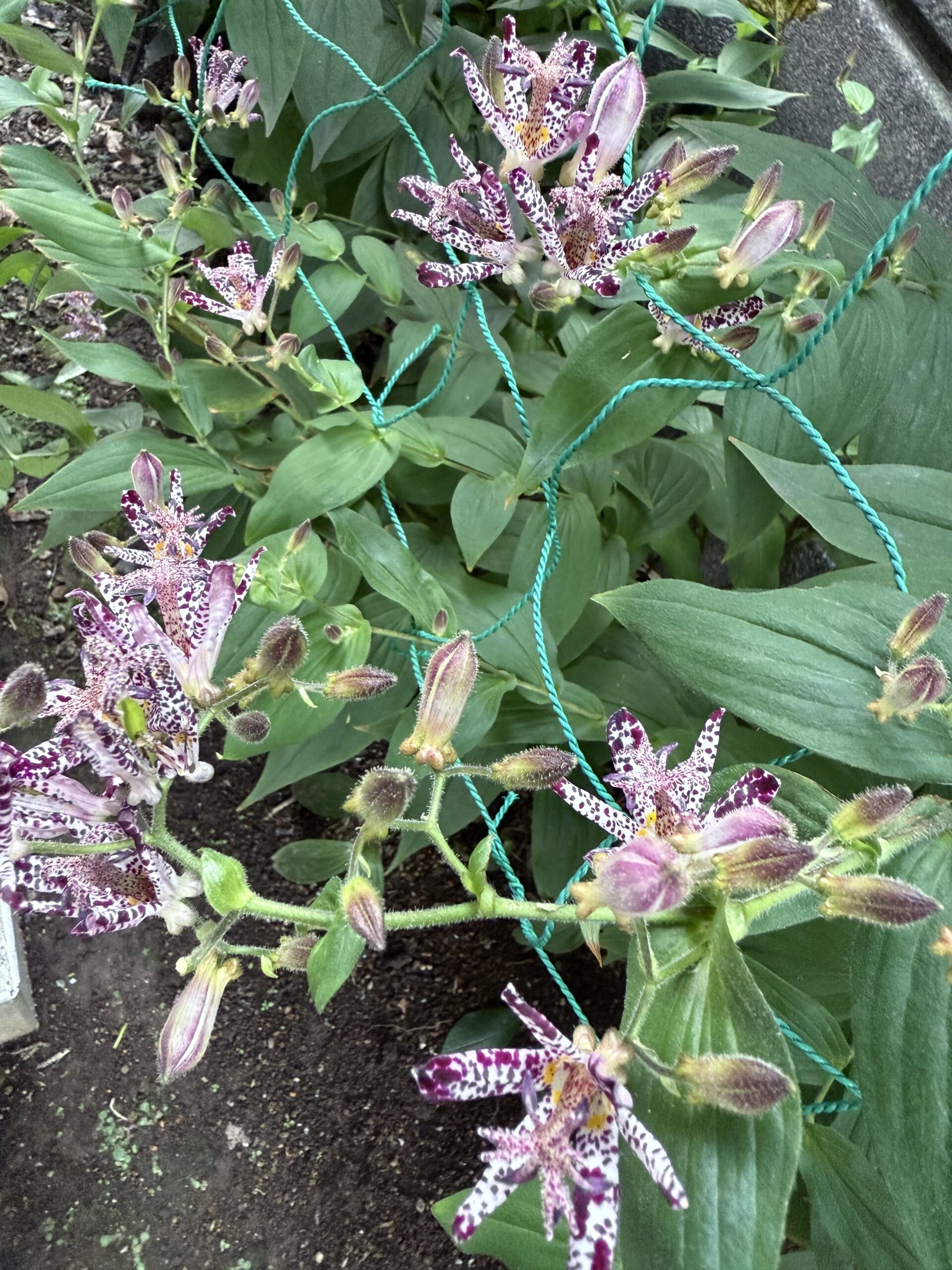 仕入明細書にもとづく明細突合と仕訳記帳――役割の切り分けと自動起票の要点