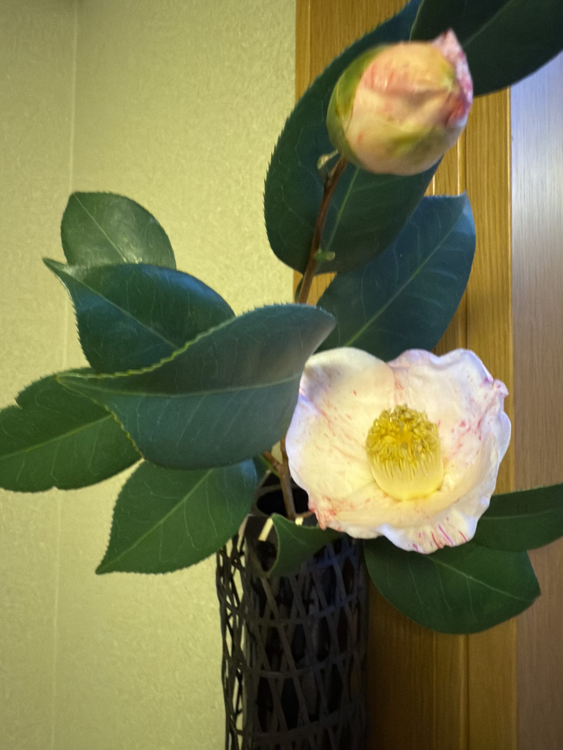 AIがあればデータ標準はいらないのか？