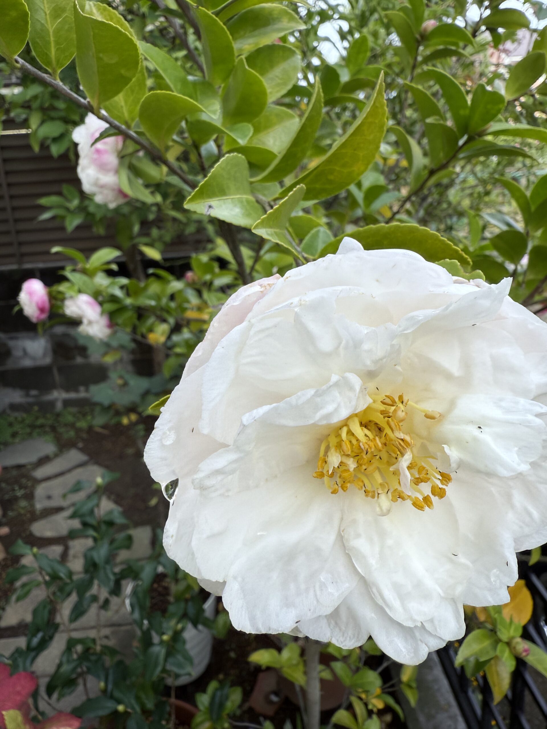 UN/CEFACT SBDH 第5章「PROCESSING FLOW OVERVIEW」解説と構造化CSV & コアインボイス・ゲートウェイ