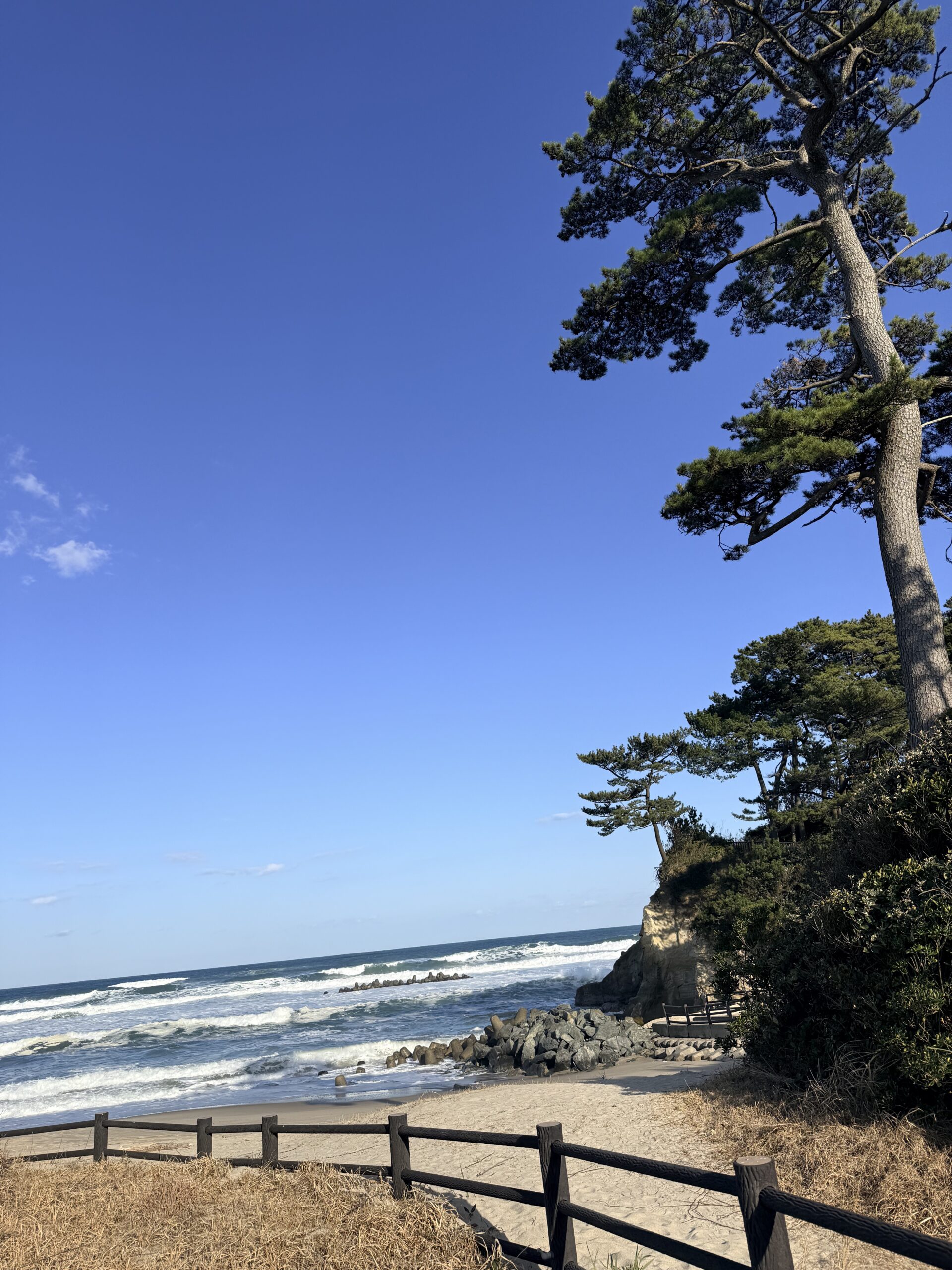 EIPAは「口を出すな」ではなく、日本の要件をまとめるべきだ