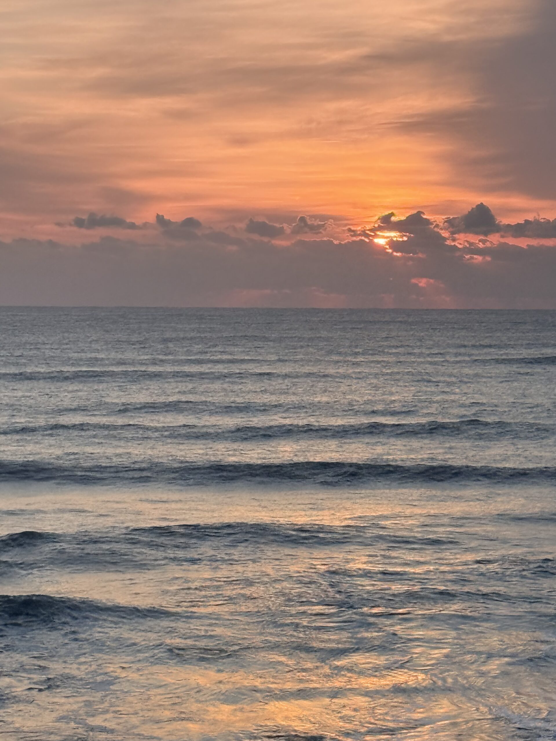 Web3で実現するグローバルディレクトリサービス