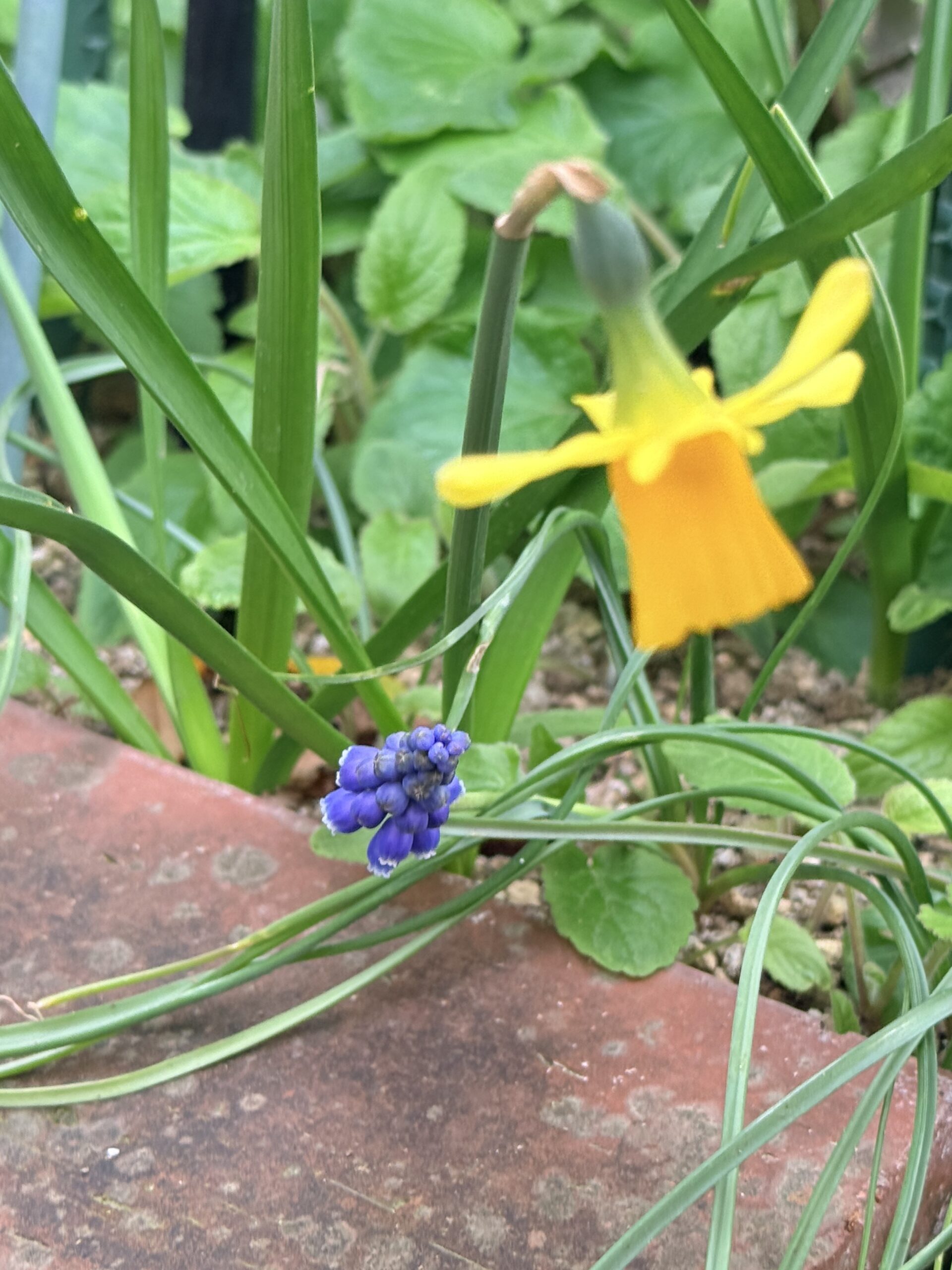 続・EIPAはPAと協調し、プロバイダ主導で日本の業界EDI統合を後押しすべきだ