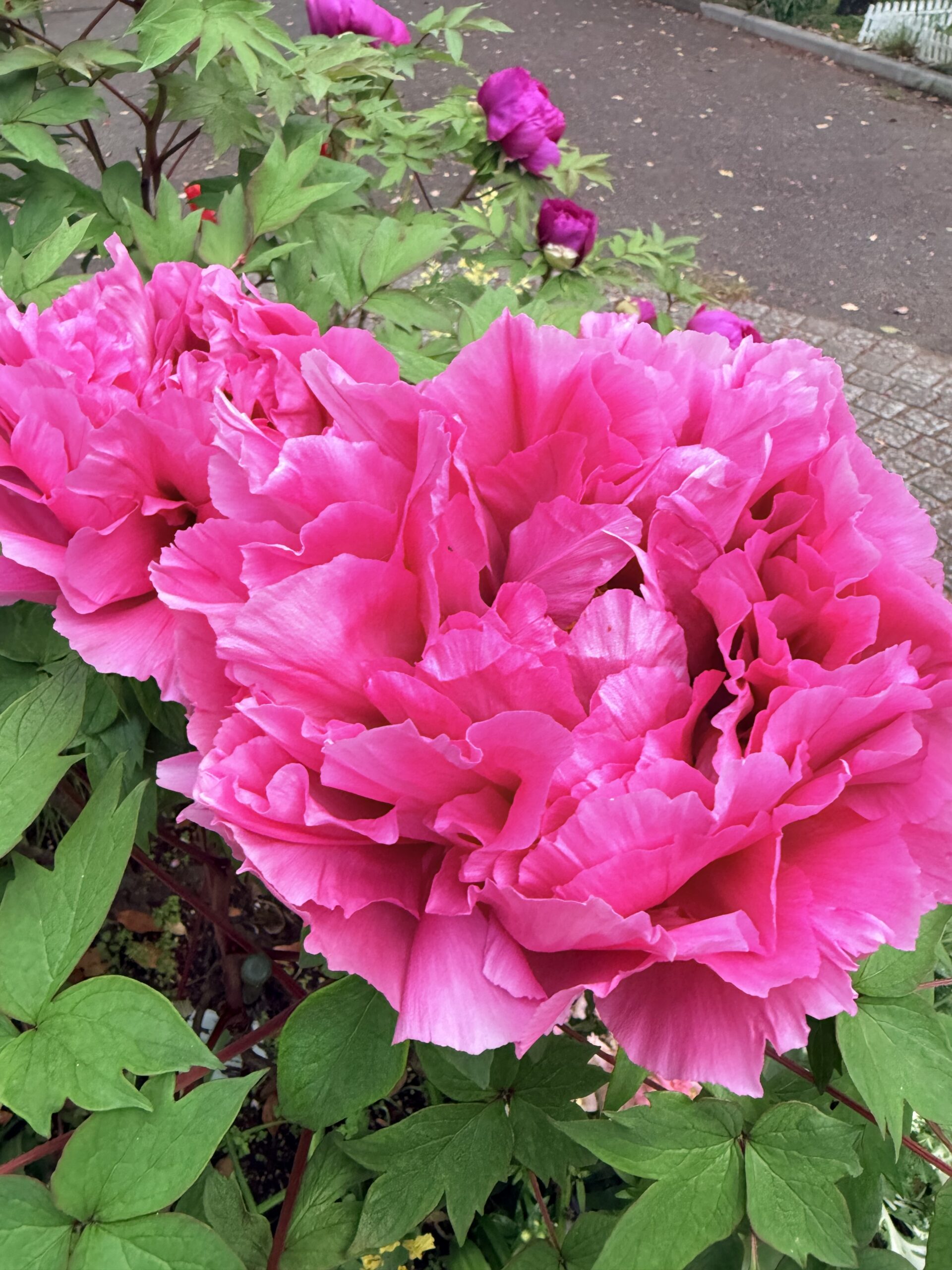 欧州はなぜB2Gから入れたのか — 日本は何を欠いているのか